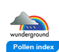 Pollen index